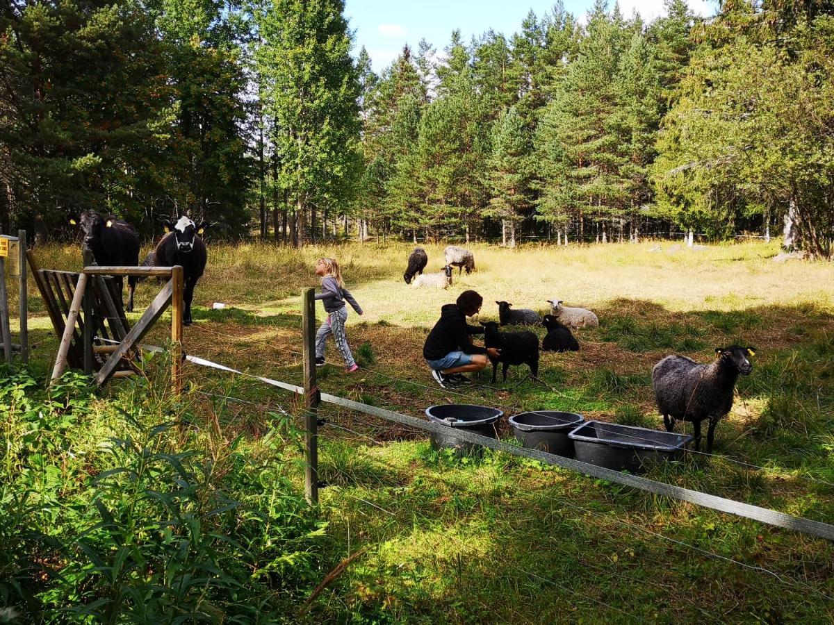 Trysunda Vandrarhem & Skaergardscafe Buitenkant foto